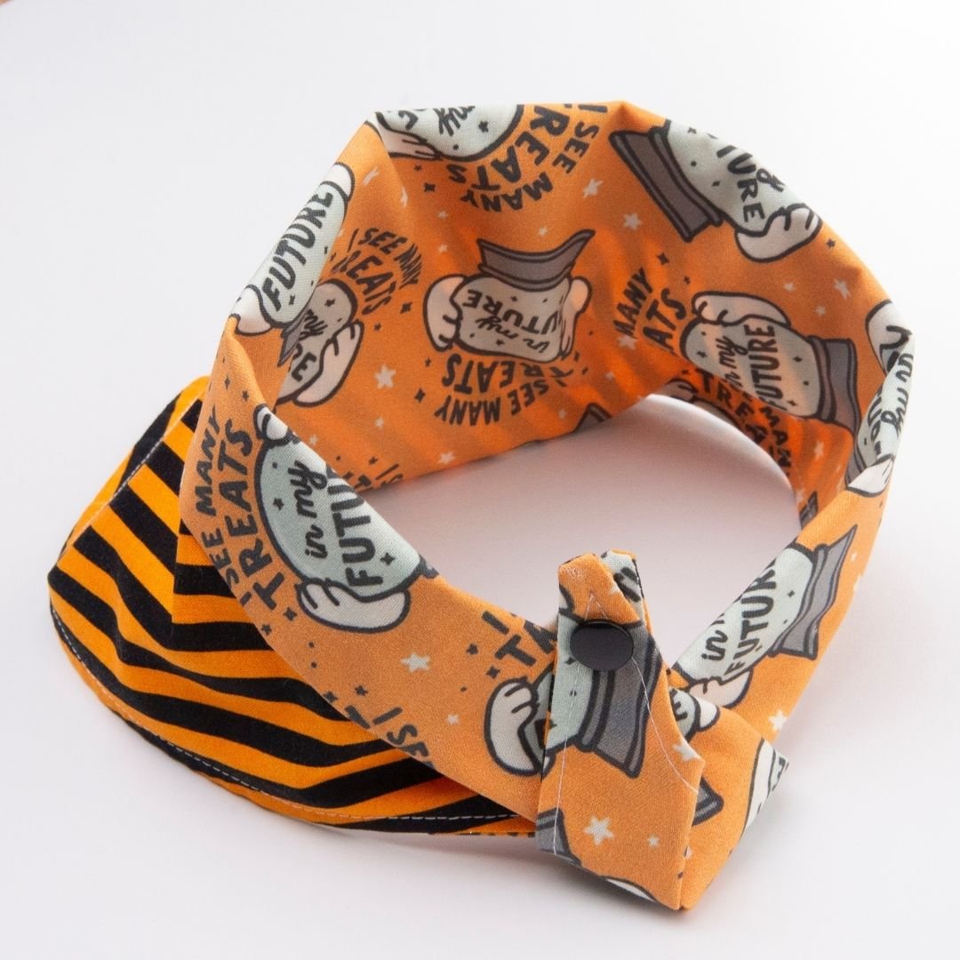Tie and Snap I See Treats by Life for Pawz – Handmade for pets