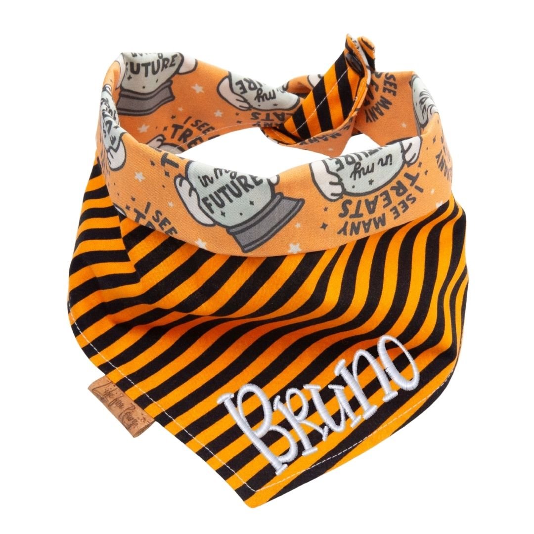 Tie and Snap I See Treats by Life for Pawz – Handmade for pets