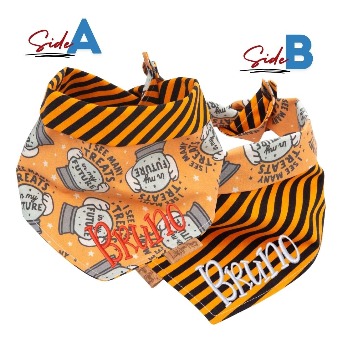 Tie and Snap I See Treats by Life for Pawz – Handmade for pets