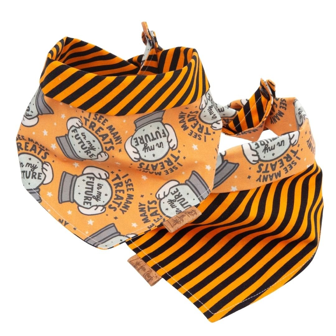 Tie and Snap I See Treats by Life for Pawz – Handmade for pets