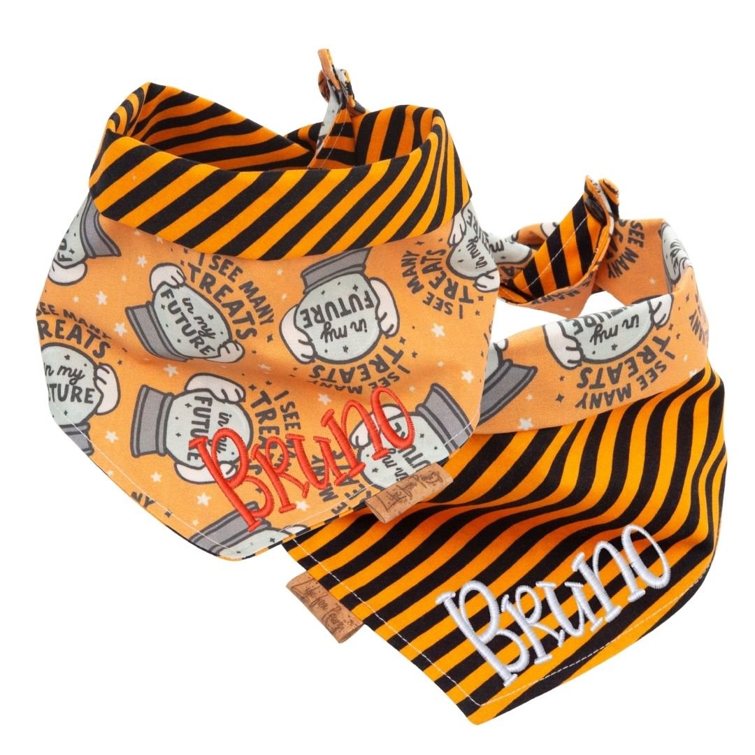 Tie and Snap I See Treats by Life for Pawz – Handmade for pets