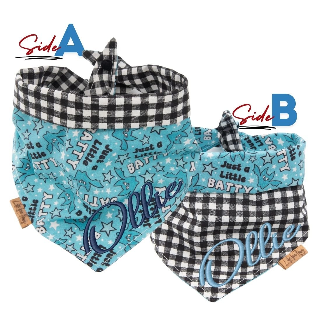 Tie and Snap Just a Little Batty by Life for Pawz – Handmade for pets
