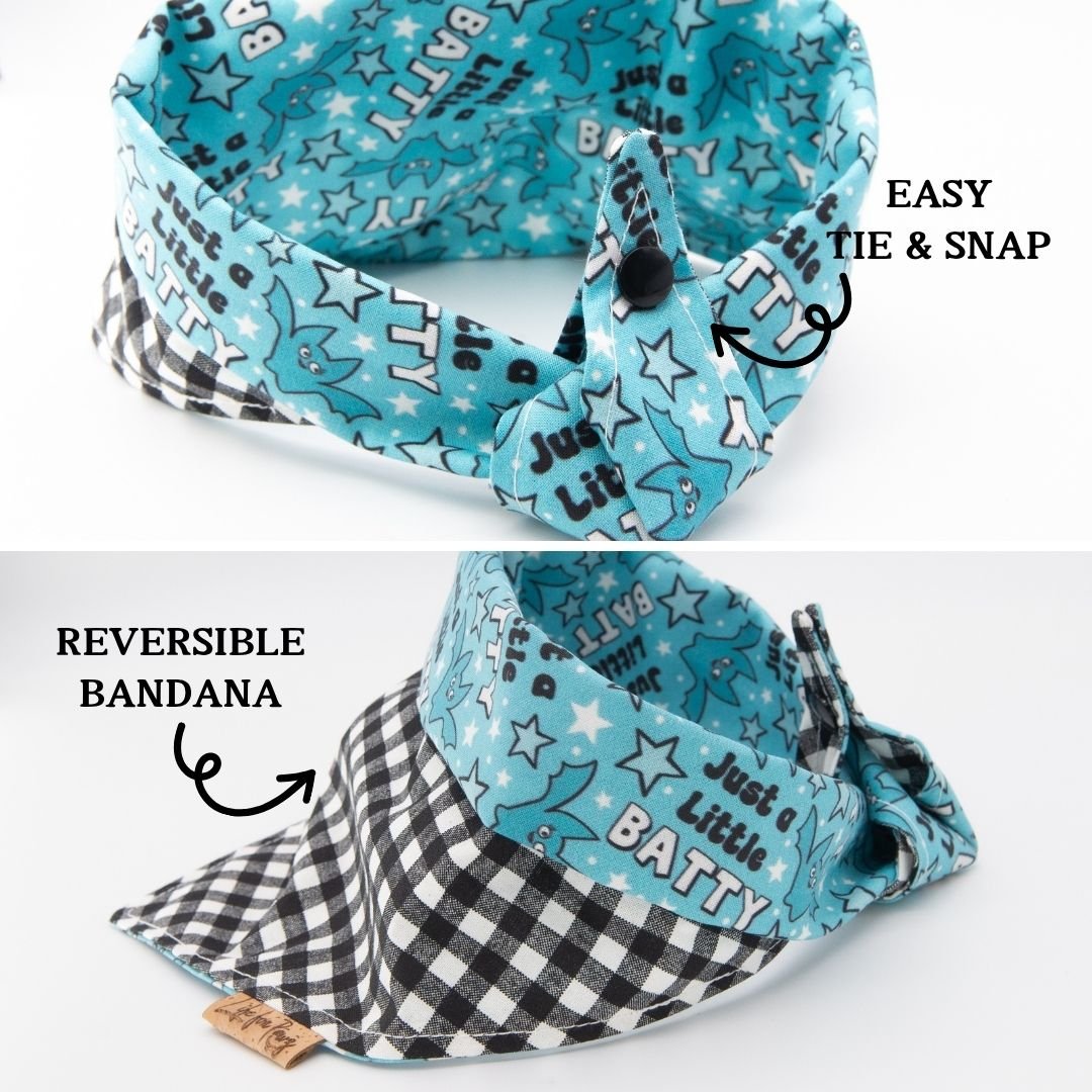 Tie and Snap Just a Little Batty by Life for Pawz – Handmade for pets