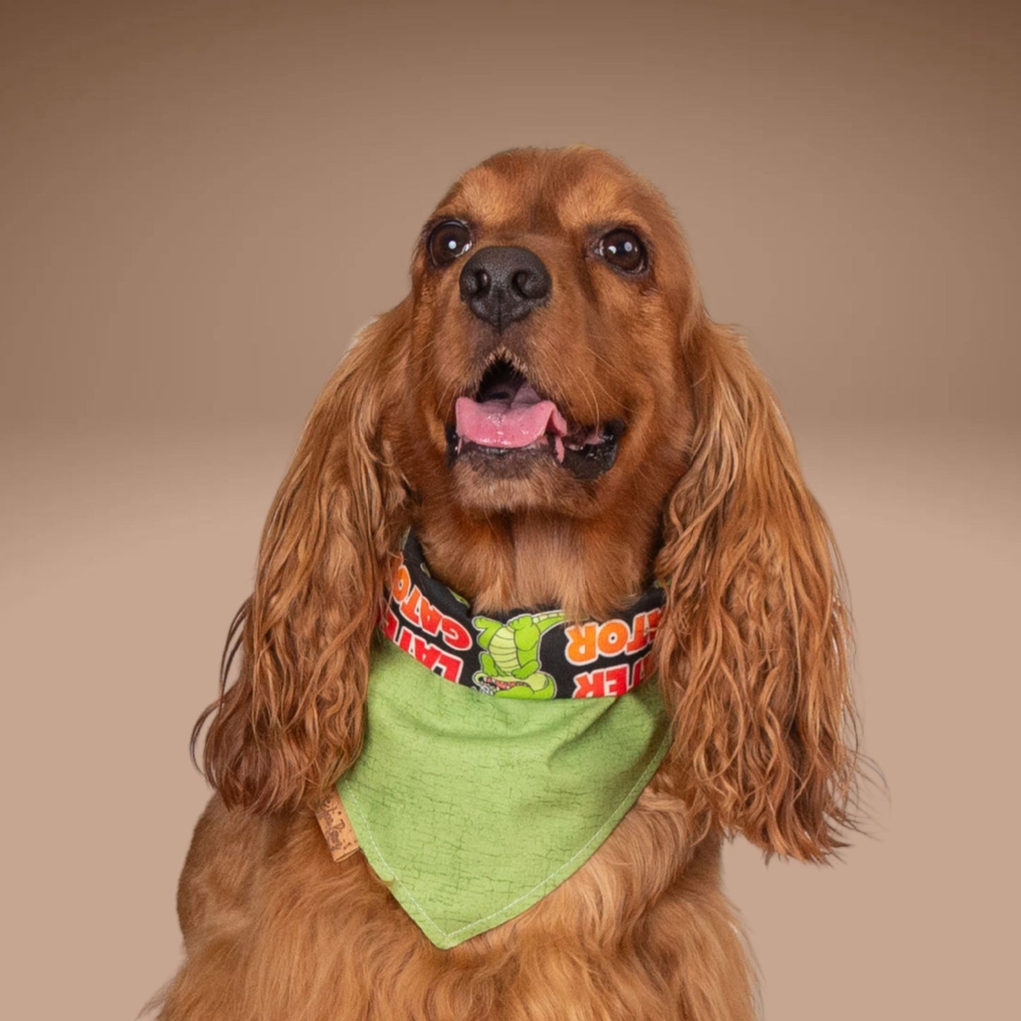 Tie and Snap Later Gator by Life for Pawz – Handmade for pets