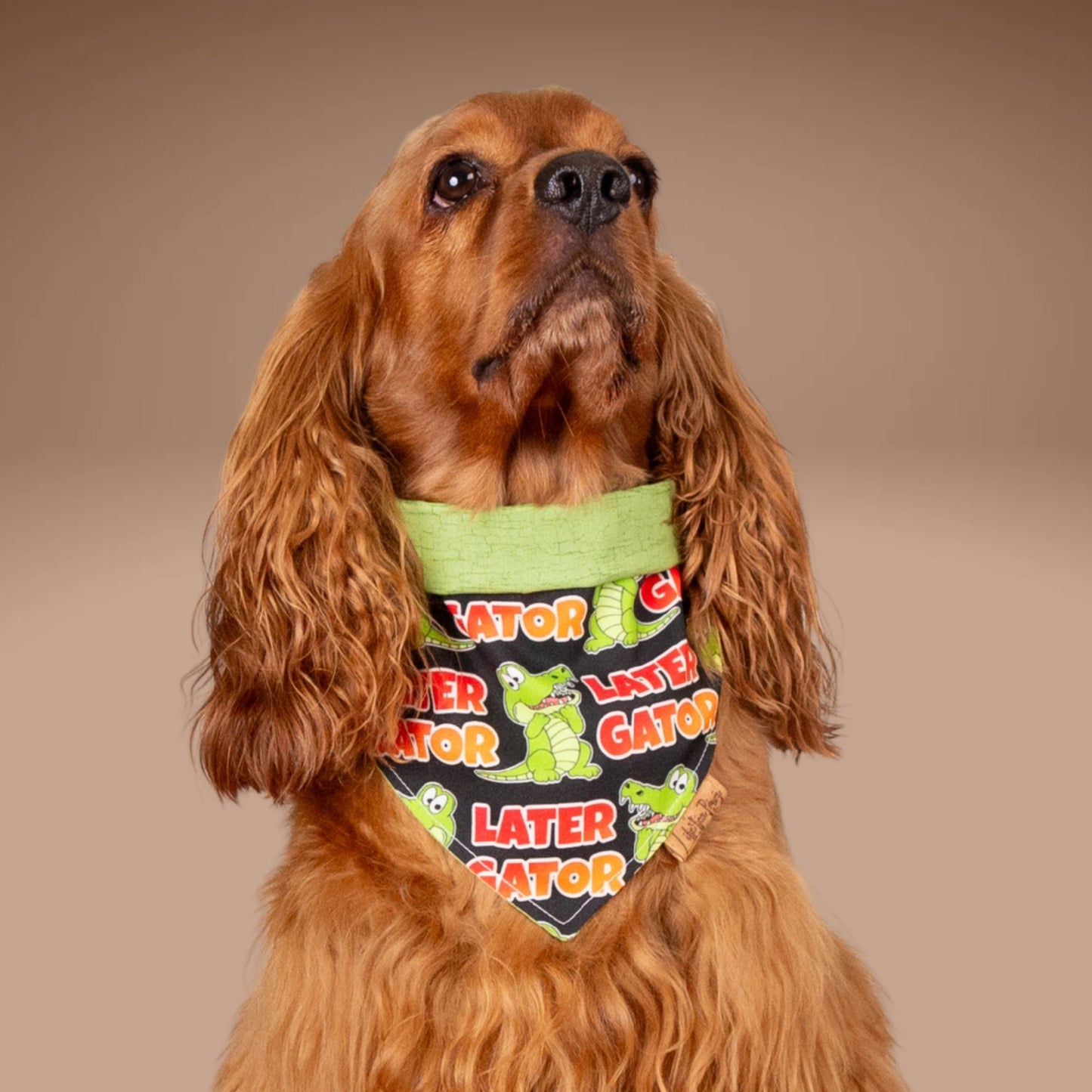Tie and Snap Later Gator by Life for Pawz – Handmade for pets