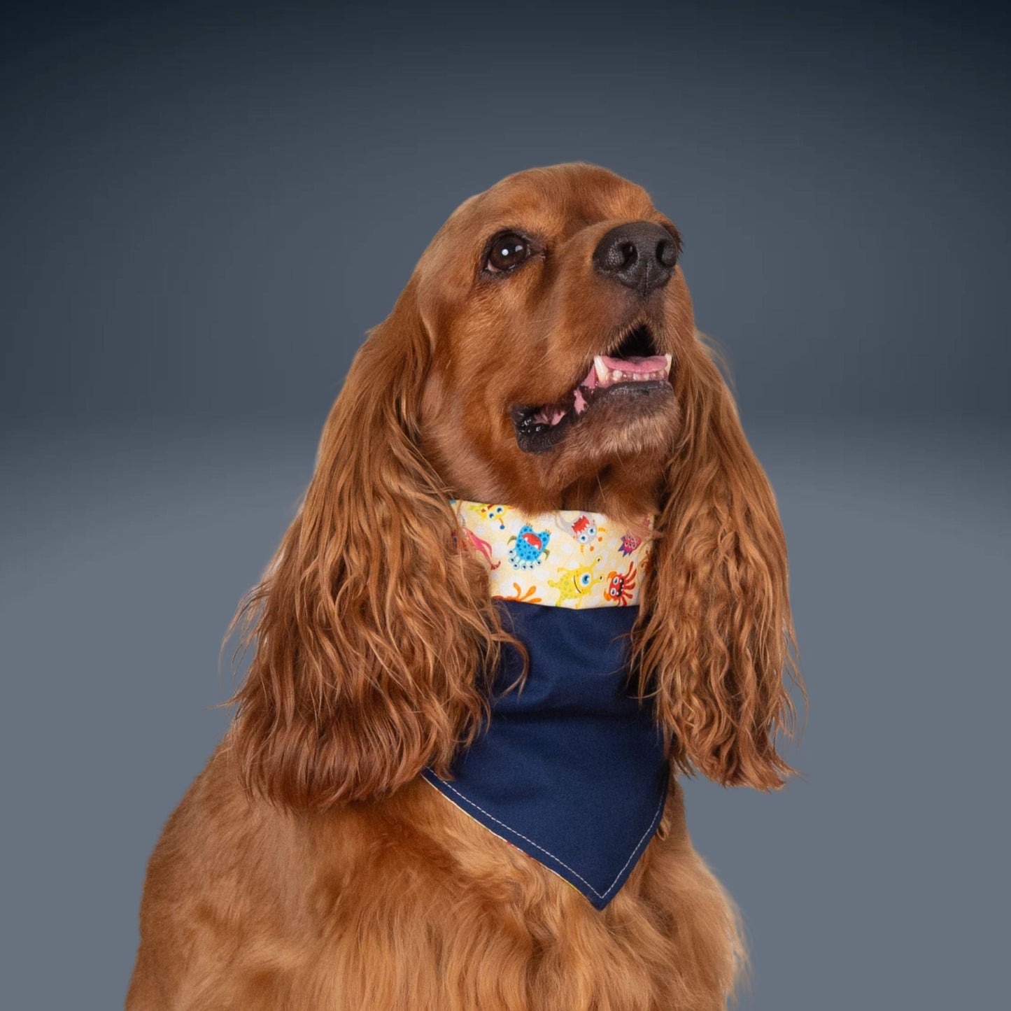 Tie and Snap Monster Mash by Life for Pawz – Handmade for pets