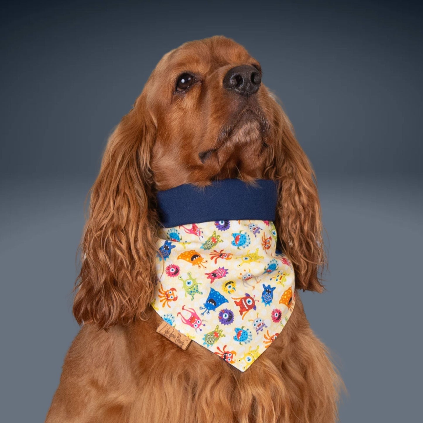 Tie and Snap Monster Mash by Life for Pawz – Handmade for pets