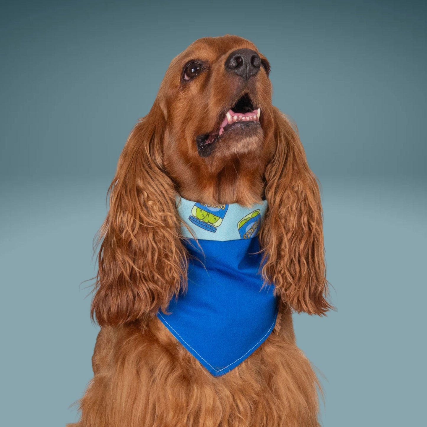 Tie and Snap Pickle Lovers by Life for Pawz – Handmade for pets