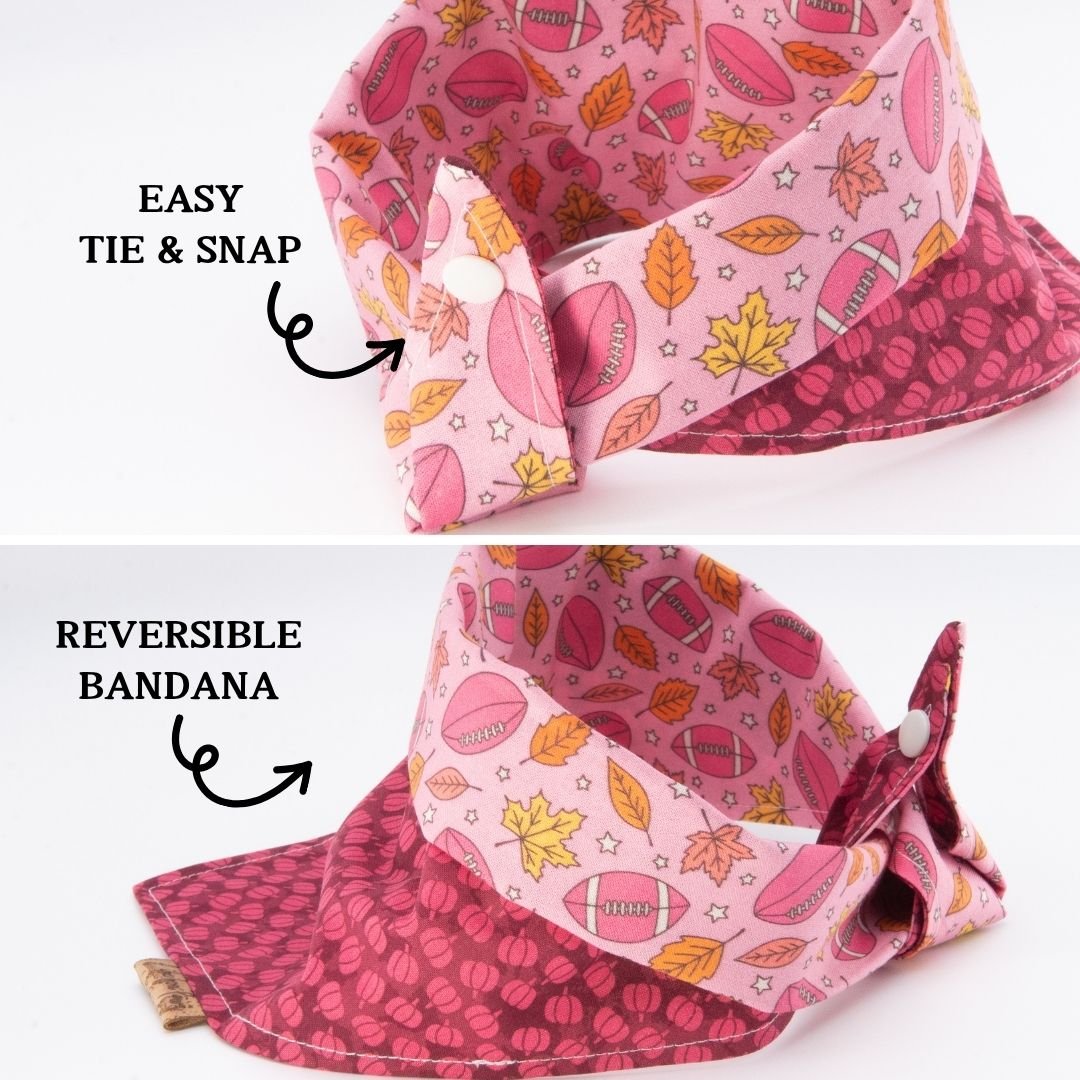 Tie and Snap Pink Autumn by Life for Pawz – Handmade for pets
