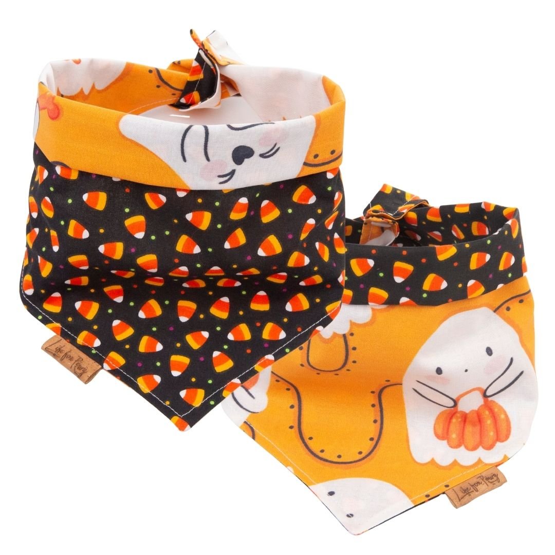 Tie and Snap Pumpkin Pals by Life for Pawz – Handmade for pets