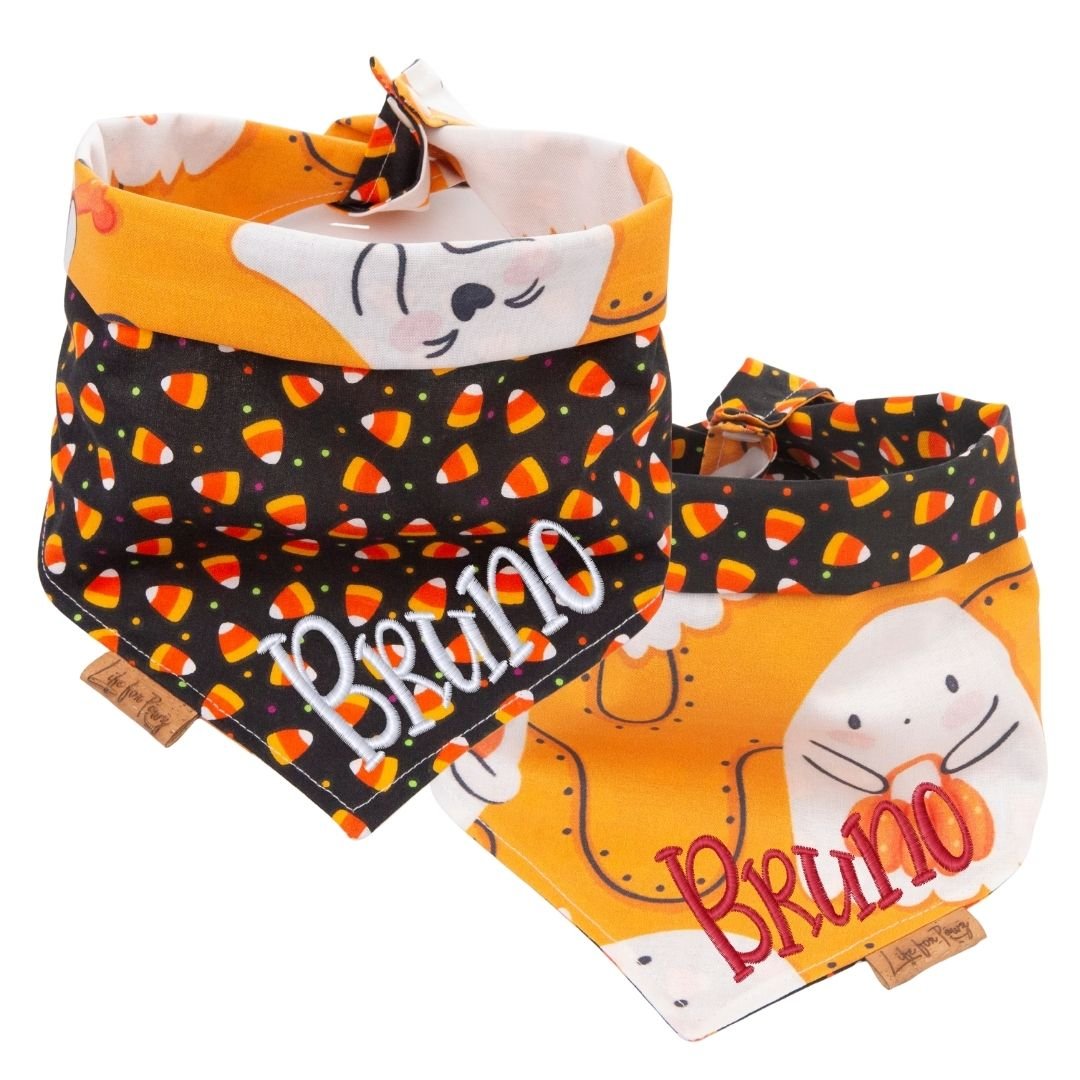 Tie and Snap Pumpkin Pals by Life for Pawz – Handmade for pets