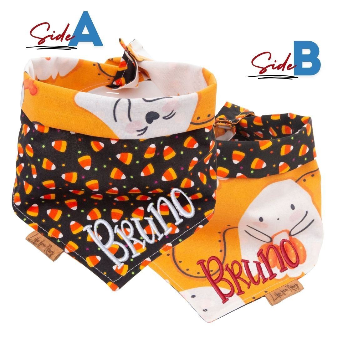 Tie and Snap Pumpkin Pals by Life for Pawz – Handmade for pets