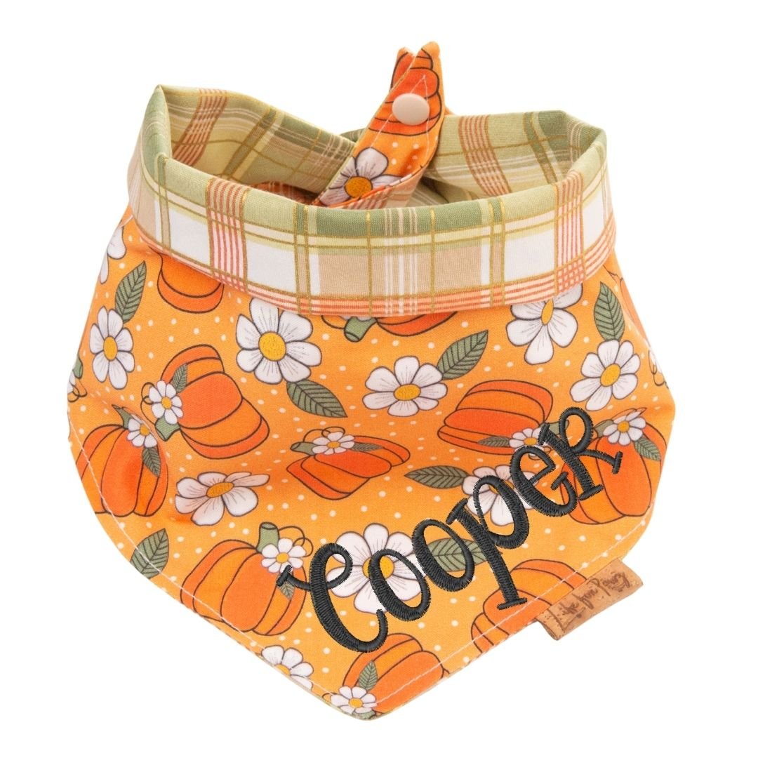 Tie and Snap Pumpkin Spice Plaid by Life for Pawz – Handmade for pets