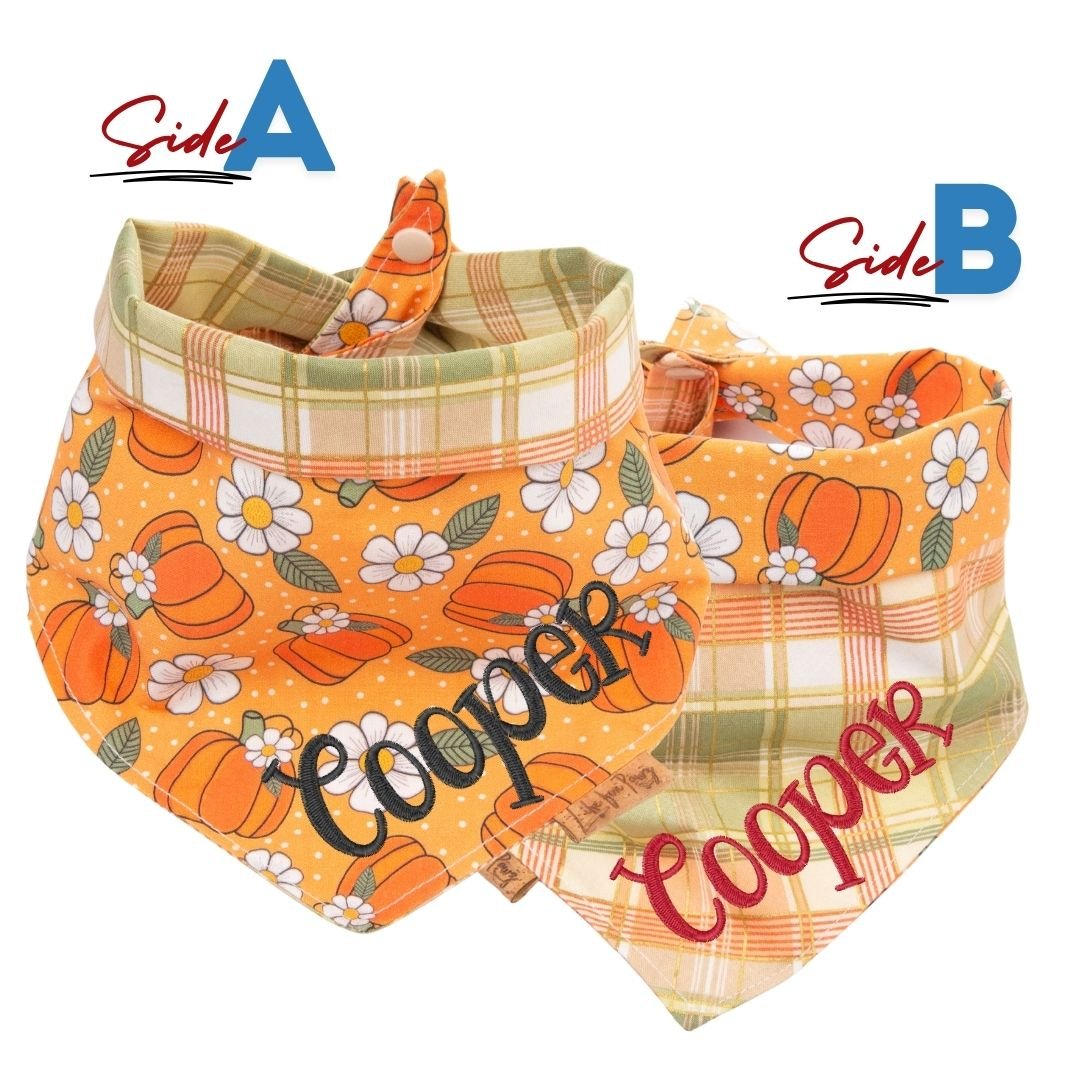 Tie and Snap Pumpkin Spice Plaid by Life for Pawz – Handmade for pets