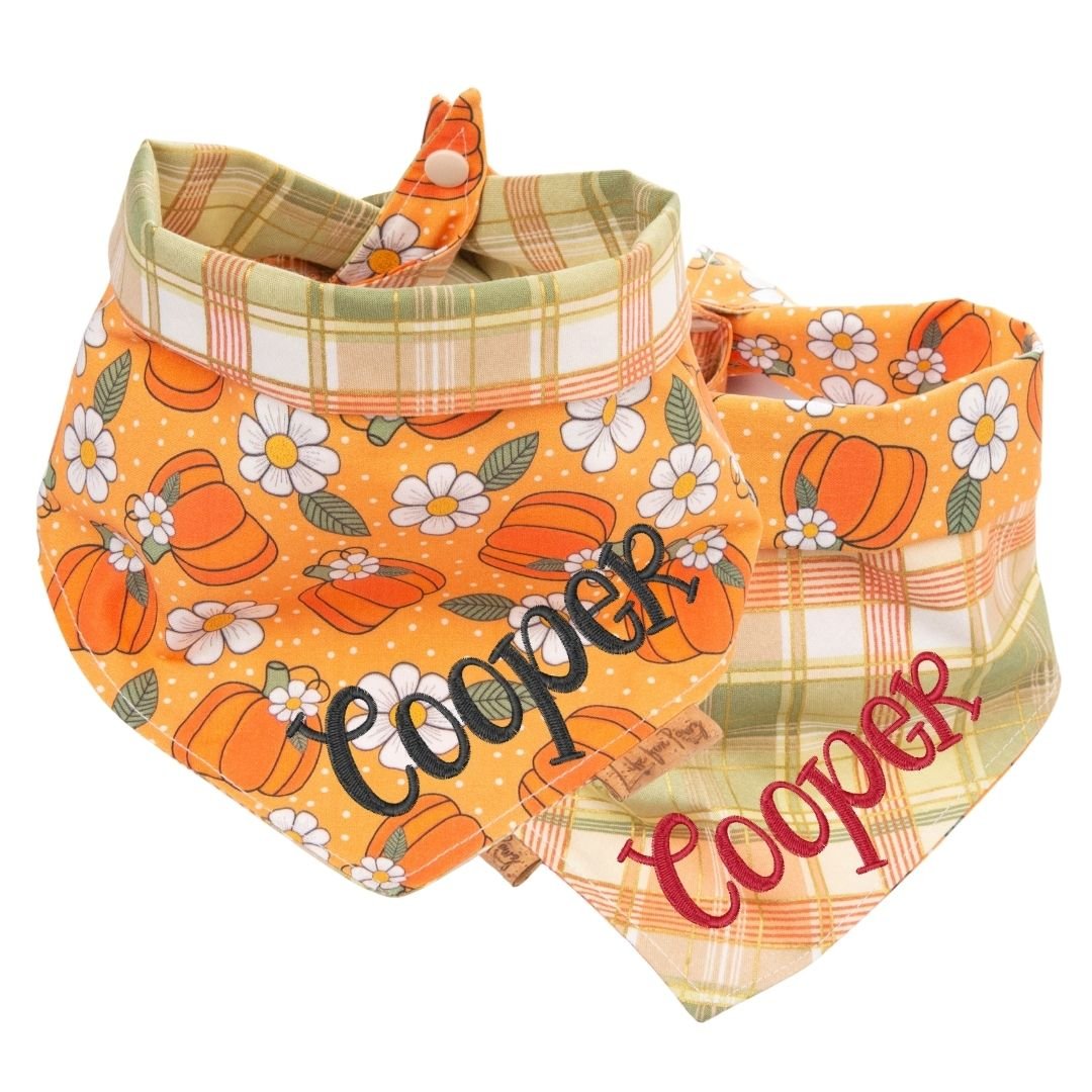 Tie and Snap Pumpkin Spice Plaid by Life for Pawz – Handmade for pets