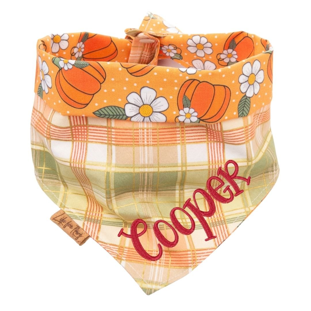 Tie and Snap Pumpkin Spice Plaid by Life for Pawz – Handmade for pets