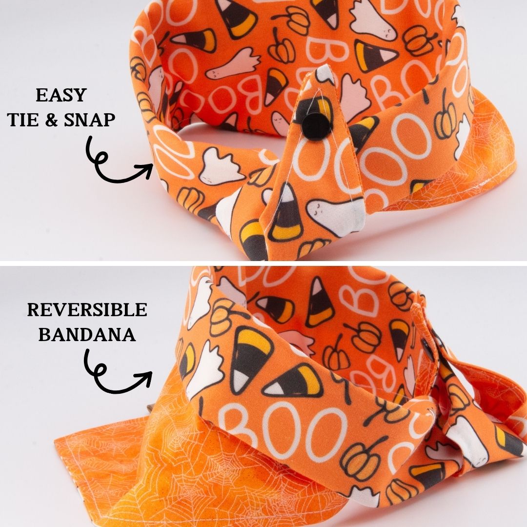 Tie and Snap Spooky Ghost Candy Corn by Life for Pawz – Handmade for pets