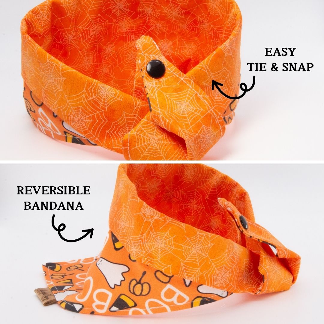 Tie and Snap Spooky Ghost Candy Corn by Life for Pawz – Handmade for pets