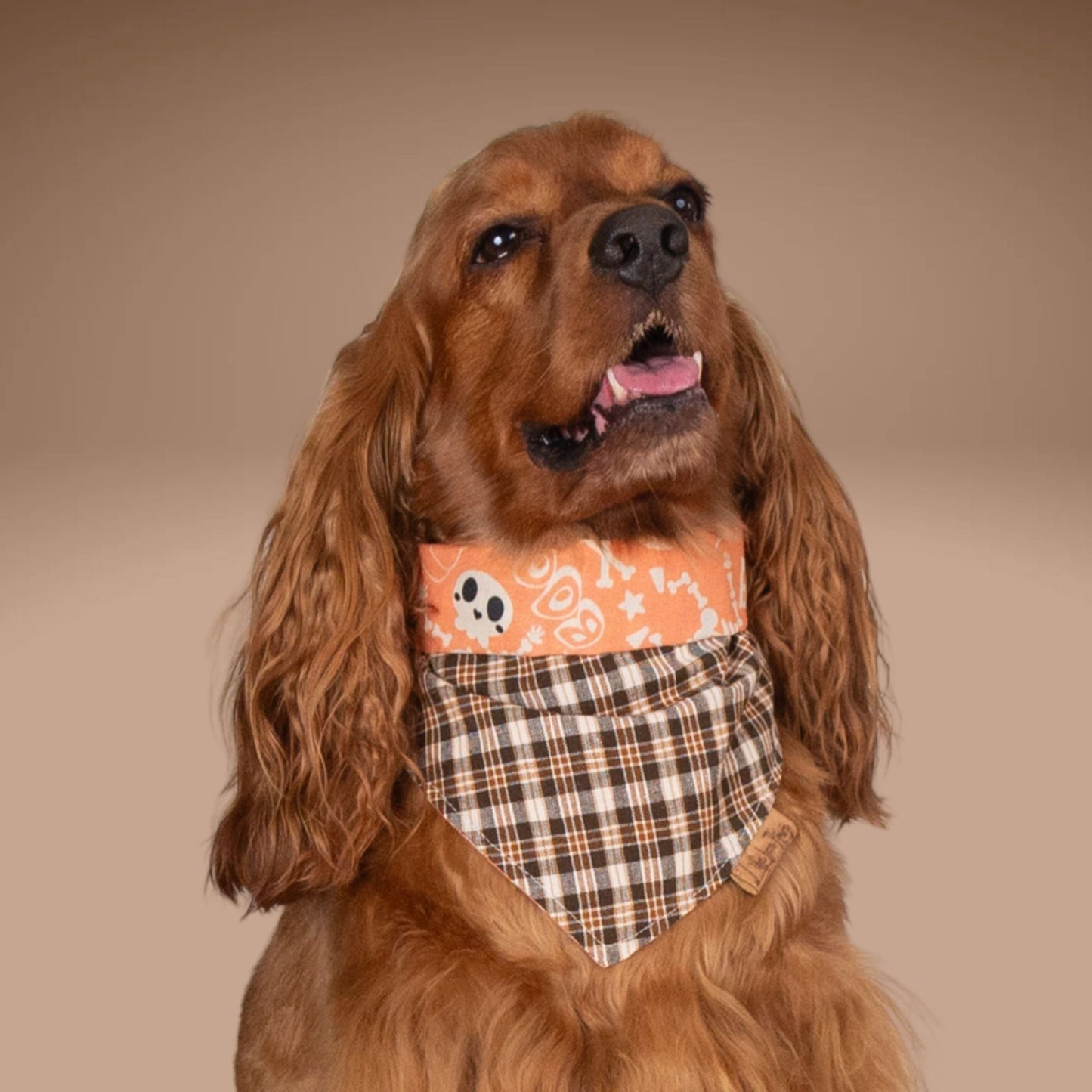 Tie and Snap Spooky Plaid by Life for Pawz – Handmade for pets