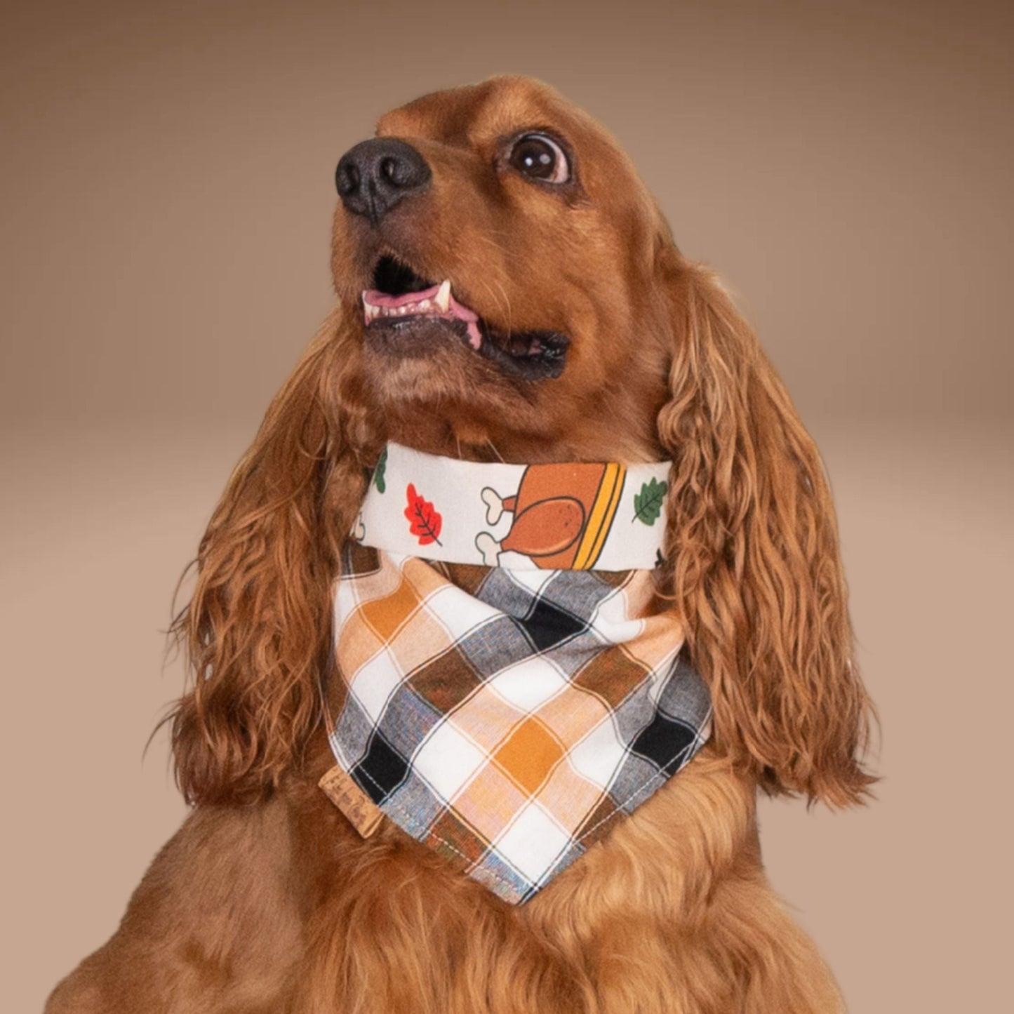 Tie and Snap Turkey Taster by Life for Pawz – Handmade for pets