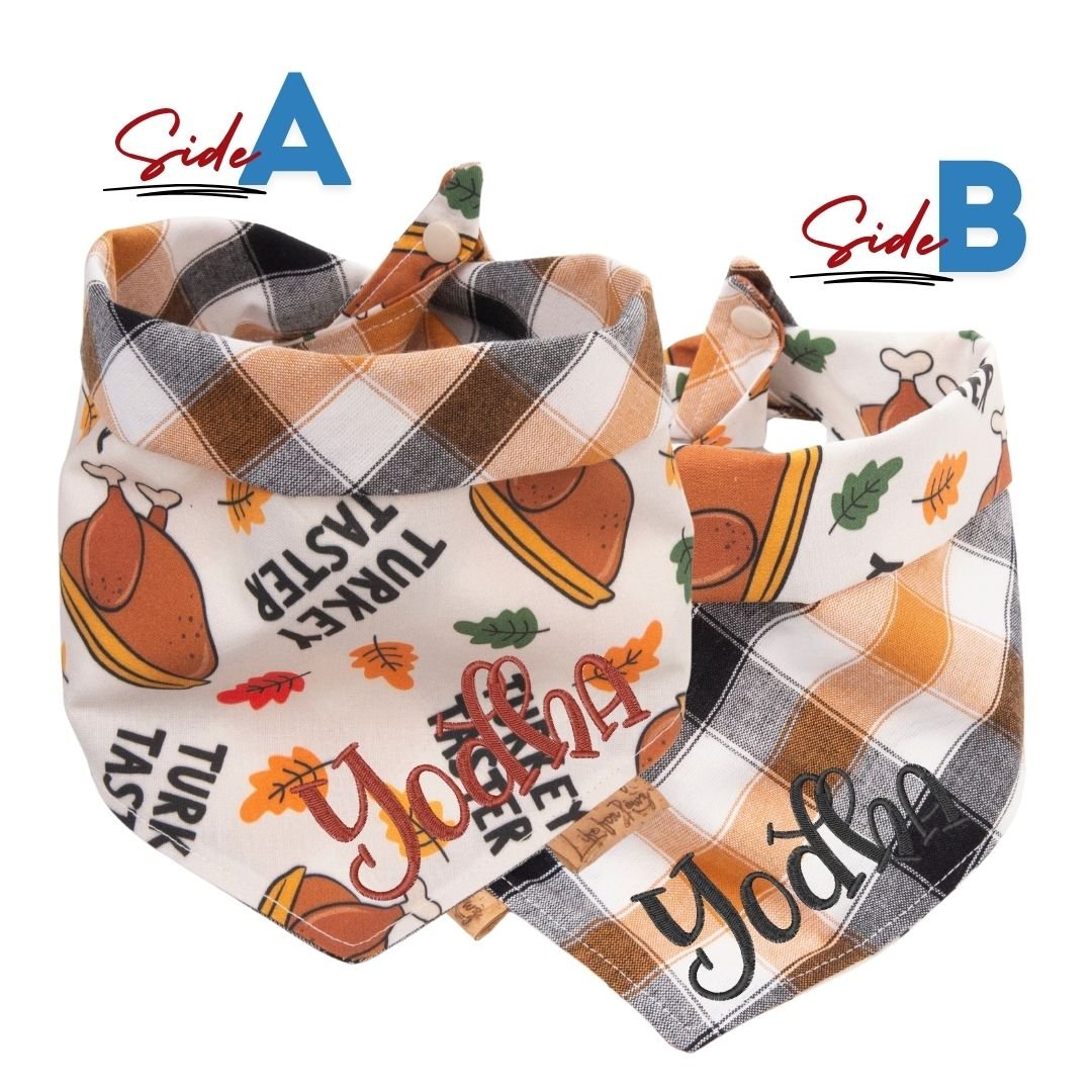 Tie and Snap Turkey Taster by Life for Pawz – Handmade for pets