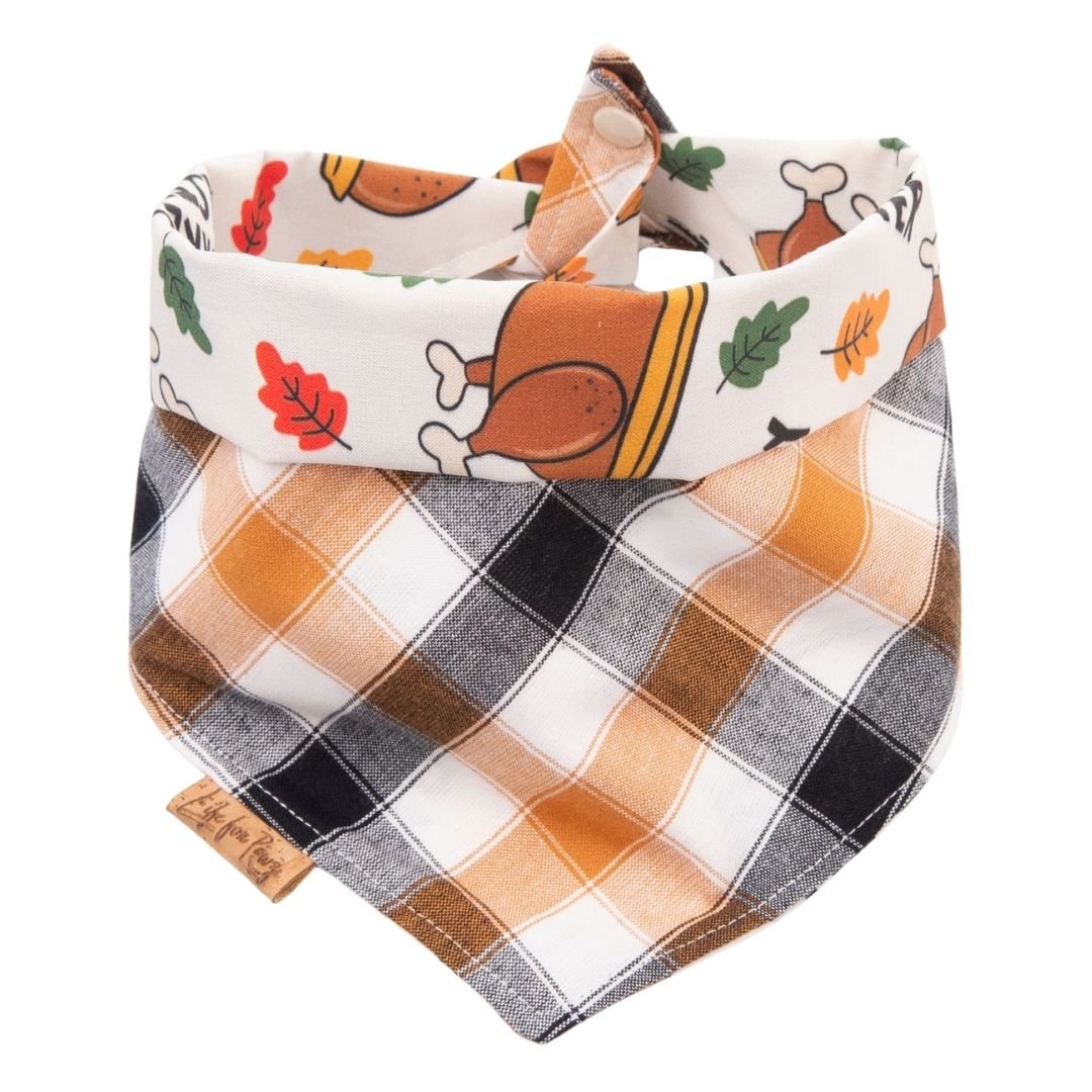 Tie and Snap Turkey Taster by Life for Pawz – Handmade for pets