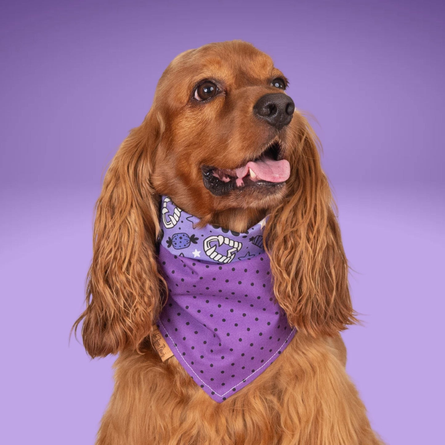 Tie and Snap Wicked Treats by Life for Pawz – Handmade for pets