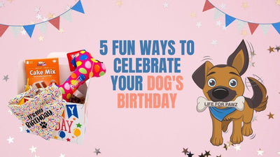 5 Fun Ways to Celebrate Your Dog's Birthday - Life for Pawz