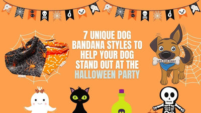 7 Dog Bandana Styles for Halloween Party - Life for Pawz