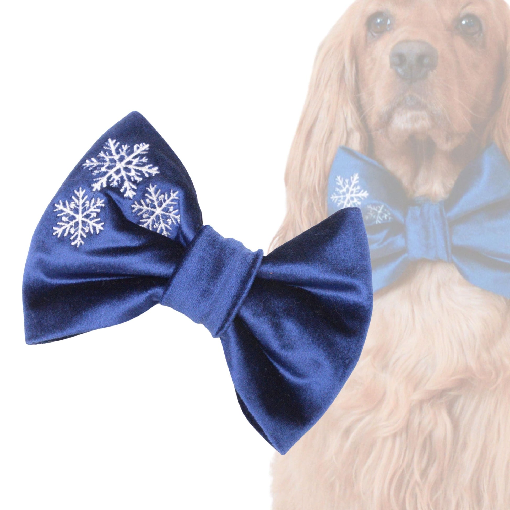 A blue bow tie with white snowflakes on it, and a dog wearing a matching blue bow tie is visible in the image.