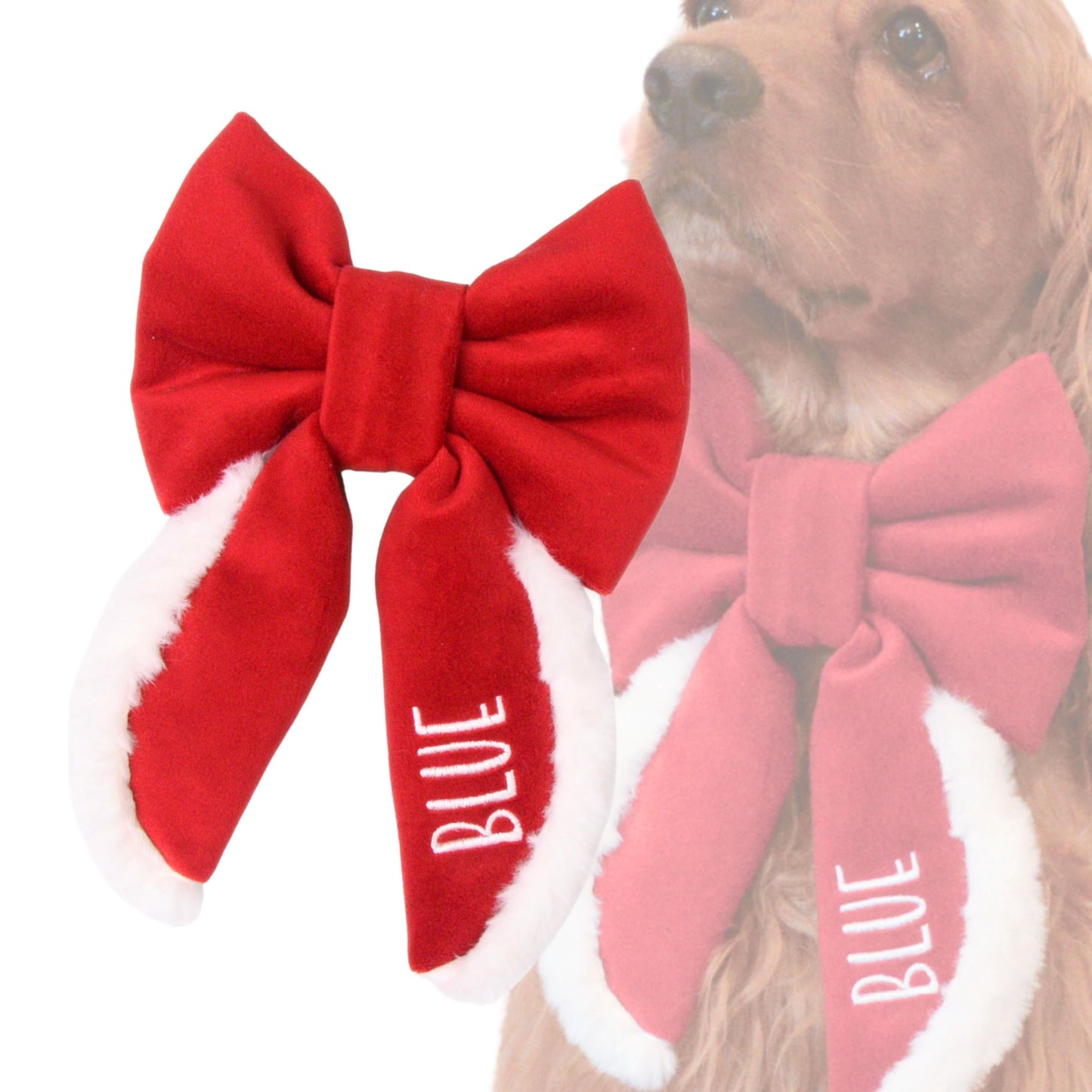 A red bow tie with the word &quot;BLUE&quot; printed on it, attached to a dog&#39;s collar.