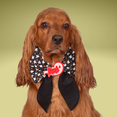 A brown dog wearing a black and white bow tie with a red "Boom" logo, sitting against a green background.