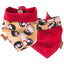 Bowling Ball Tie & Snap Bandana