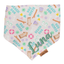 Dog bandana Beach Dog & Mint Bandana – Reversible with Bone Clasp - Life for Pawz - Bone Clasp
