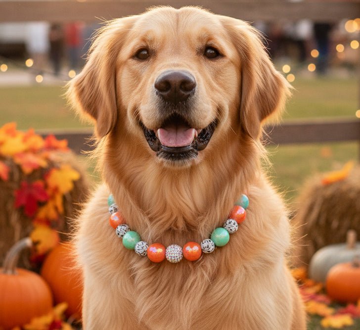 beaded dog necklace Artsy Sparkle Beaded Dog Collar by Life for Pawz – Handmade for pets