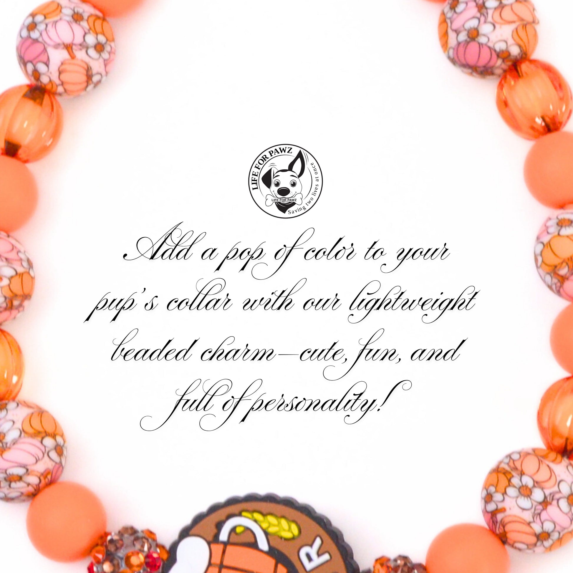beaded dog necklace Beer Beaded Collar Charm by Life for Pawz – Handmade for pets