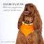beaded dog necklace Candy Corn Charm by Life for Pawz – Handmade for pets