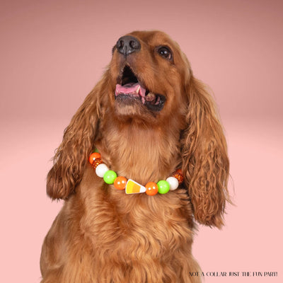 beaded dog necklace Candy Corn Charm by Life for Pawz – Handmade for pets