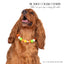 beaded dog necklace Candy Corn Charm by Life for Pawz – Handmade for pets