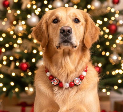 beaded dog necklace Christmas Gift Beaded Dog Collar by Life for Pawz – Handmade for pets