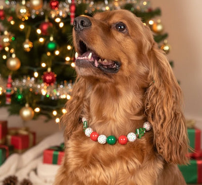 beaded dog necklace Christmas Tree Beaded Dog Collar by Life for Pawz – Handmade for pets