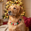 beaded dog necklace Christmas Truck Beaded Dog Collar by Life for Pawz – Handmade for pets