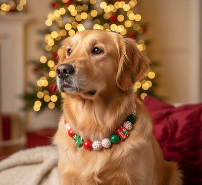 beaded dog necklace Christmas Truck Beaded Dog Collar by Life for Pawz – Handmade for pets