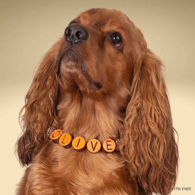 beaded dog necklace Dog Beaded Collar Charm by Life for Pawz – Handmade for pets