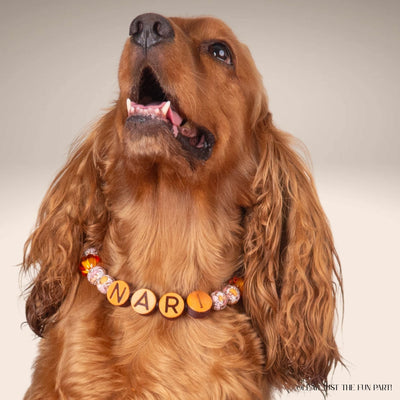 beaded dog necklace Fall Dog Beaded Collar Charm by Life for Pawz – Handmade for pets