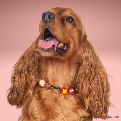 beaded dog necklace Fall Football Charm by Life for Pawz – Handmade for pets