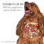 beaded dog necklace Fall Football Charm by Life for Pawz – Handmade for pets