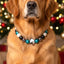 beaded dog necklace Game Day Eagle Beaded Dog Collar by Life for Pawz – Handmade for pets