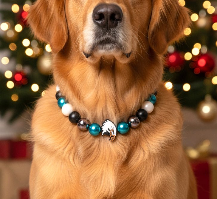 beaded dog necklace Game Day Eagle Beaded Dog Collar by Life for Pawz – Handmade for pets