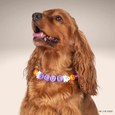 beaded dog necklace Halloween Dog Beaded Collar Charm by Life for Pawz – Handmade for pets